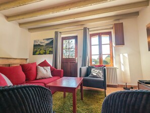 Televisión, chimenea y libros 