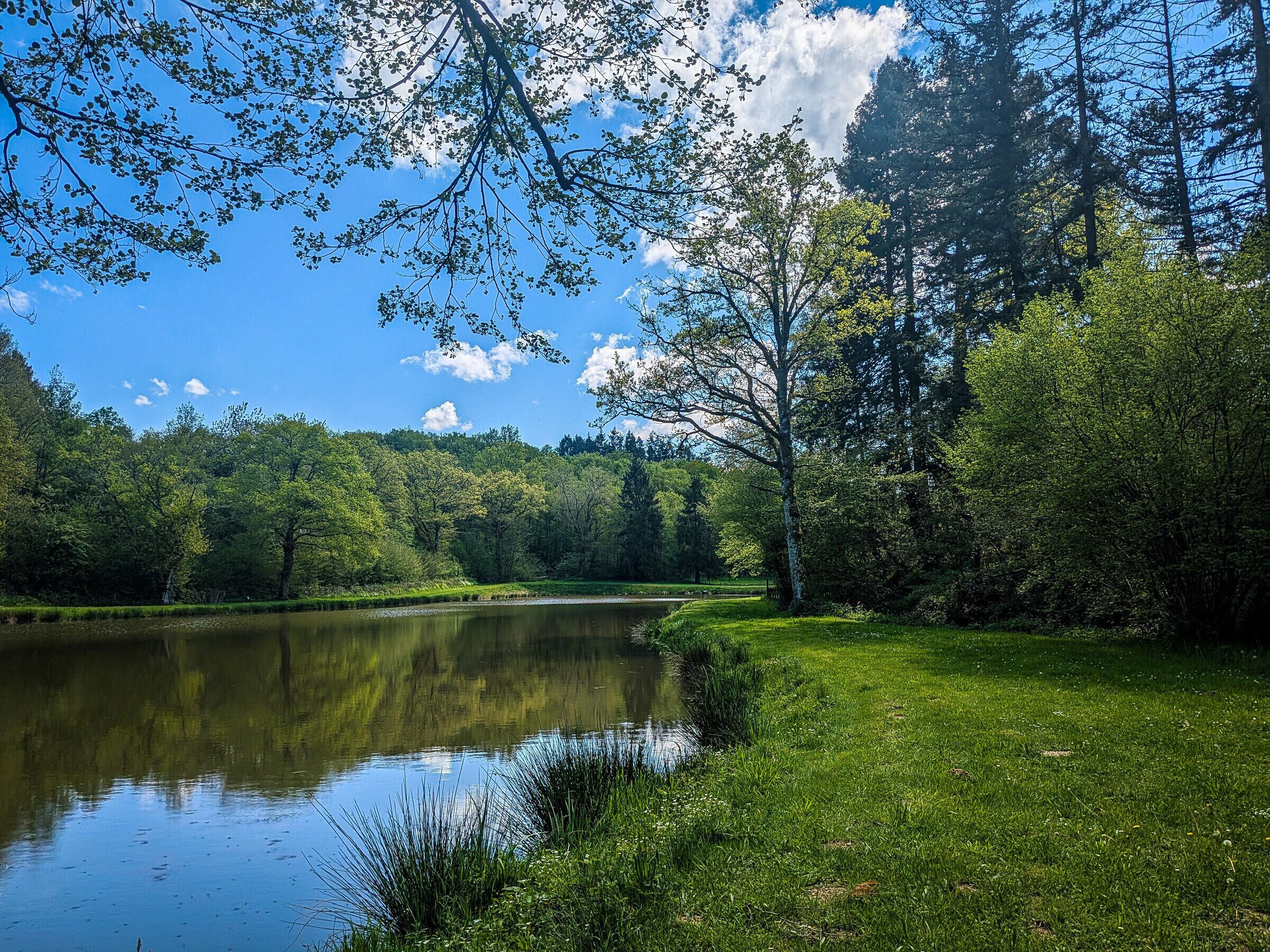 A serene lakeside scene with a clear sky, lush greenery, and a calm water body.