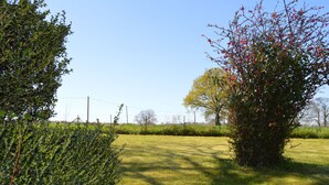 Een verzorgd gazon met verschillende struiken en een boom met rode bloemen.