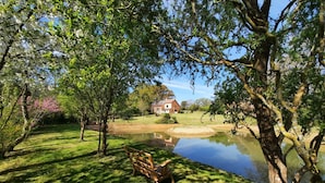 Un cadre paisible au bord d’un lac, avec un banc en bois, un étang et une maison en arrière-plan.