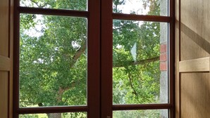 A view through a wooden-framed window with multiple panes, revealing a lush green outdoor area with trees and a brick wall.