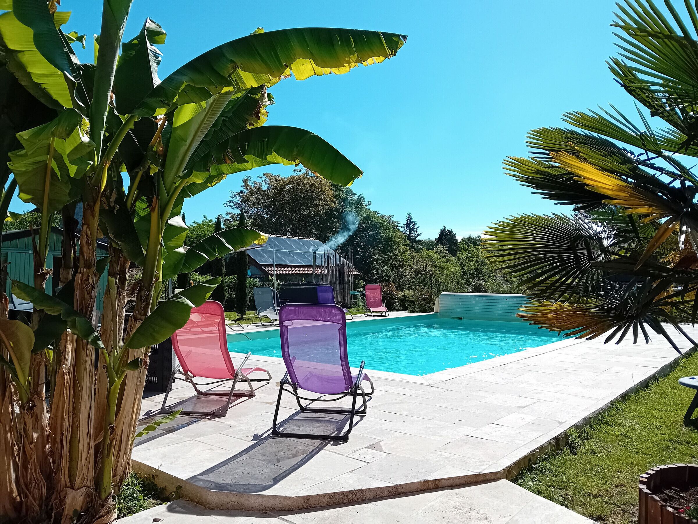 A swimming pool with lounge chairs, surrounded by tropical plants.