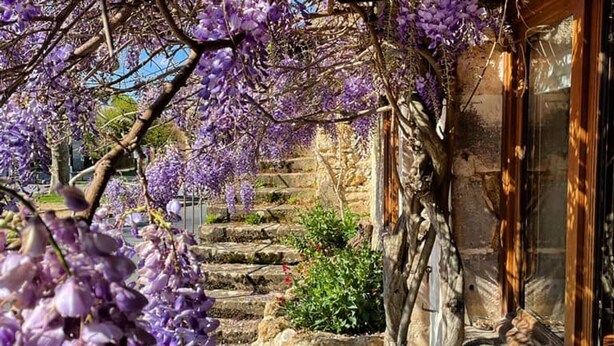 Property grounds - Cozy Renovated Forge with Sauna, Shared Pool & Nearby Attractions (Le Menoux)