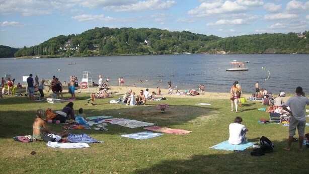 Een park aan het meer met gazons, picknicktafels en mensen die ontspannen aan het water.