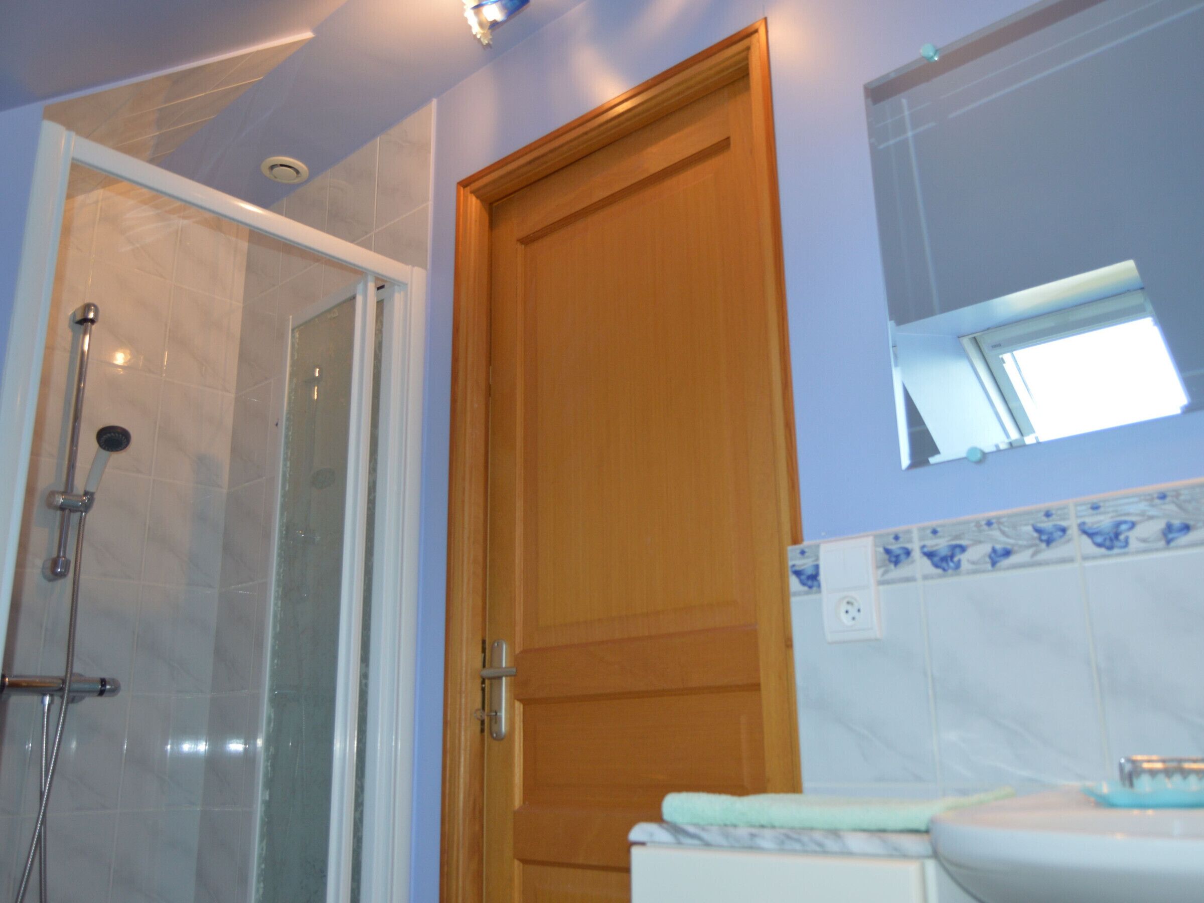 A bathroom with a wooden door, a glass shower enclosure, and a tiled wall with a blue pattern.