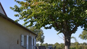 Un edificio con un patio de grava, una mesa con sillas y un árbol que da sombra.