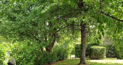 Gßte 7 pers avec jardin, vélos, proche Zoo de Beauval et Chùteau de Valençay