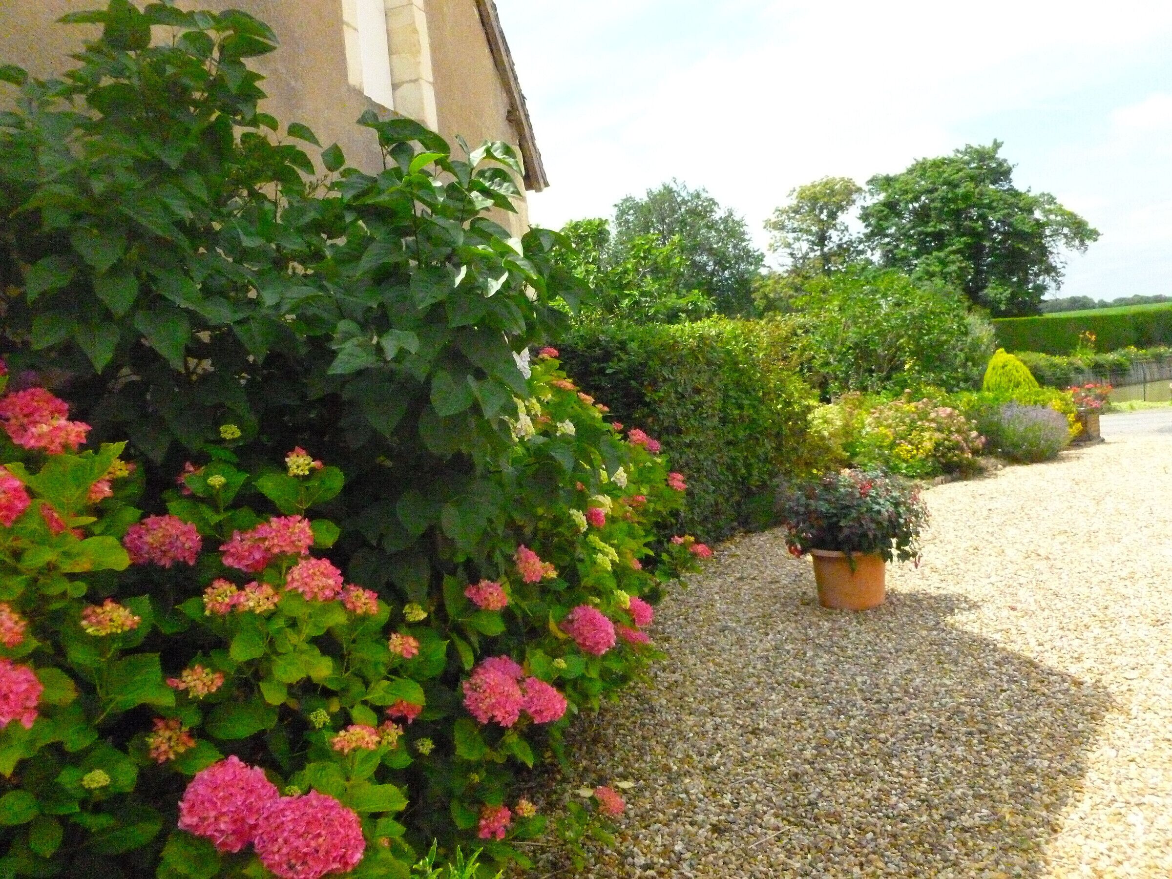 Terrein van de accommodatie