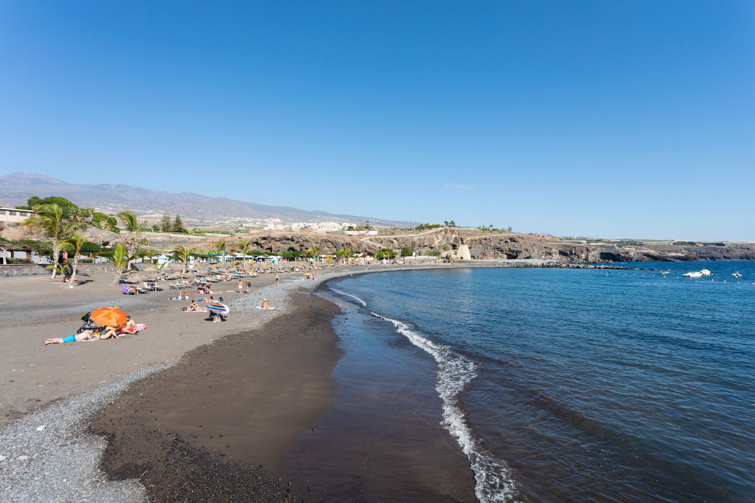 Una playa con una orilla curvada, palmeras y un cielo azul despejado.