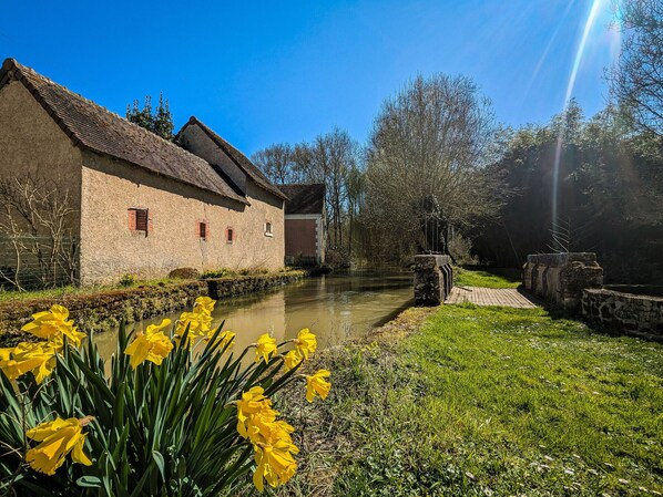 A rustic building with a thatched roof, a narrow water channel, and a grassy area with yellow flowers.