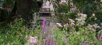 Charming Mill Retreat in Berry: Riverfront, Sleeps 12, Near Castles & Zoo
