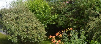 Charming Country Cottage Near Valençay - 2 Bedrooms, Quiet Garden, Close to Loire Castles & Beauval Zoo