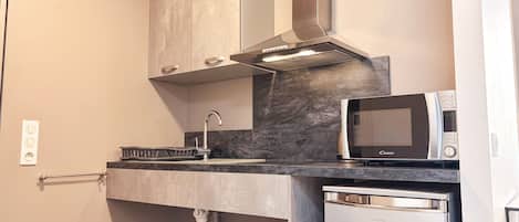 A compact kitchen with a built-in microwave, a stainless steel sink, and a compact dishwasher.