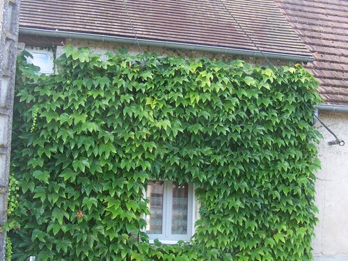 Charmante maison de campagne avec jardin privatif, proche étangs et nature, idéale rando et vélo.