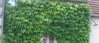 Charming Cottage in Brenne: Nature, Hiking, Close to Ponds, Private Garden, Fireplace