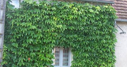 Charming Cottage in Brenne: Nature, Hiking, Close to Ponds, Private Garden, Fireplace