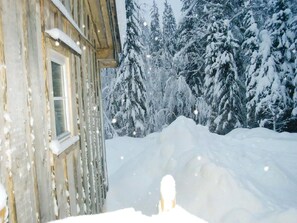 Àrea exterior de l'allotjament