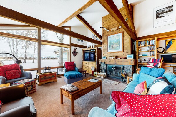 TV, fireplace, books, video library