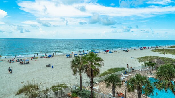 Una playa con zona de piscina, palmeras y sombrillas.