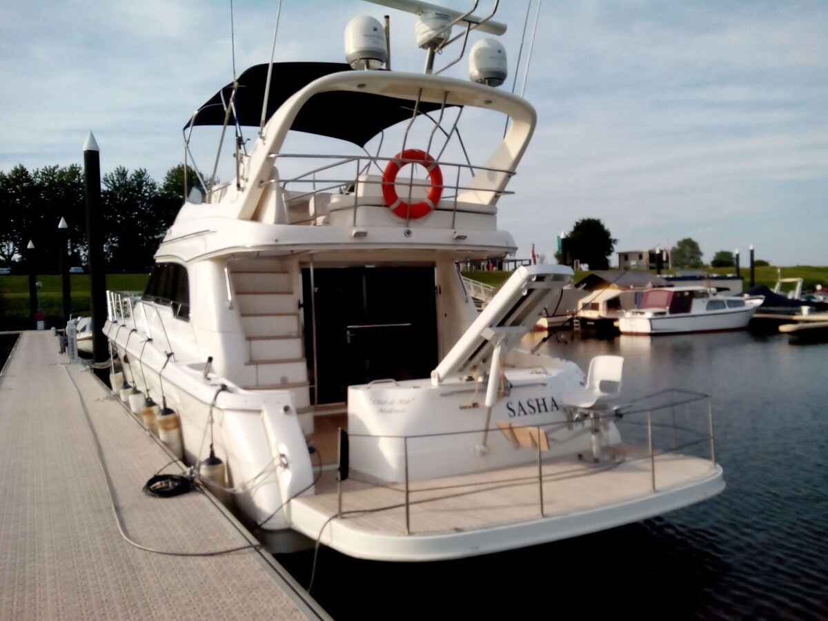 Image de profil de l’hôte
