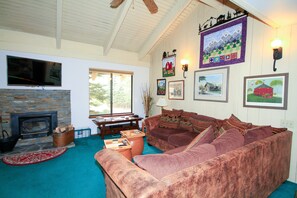 TV, fireplace, video games, DVD player