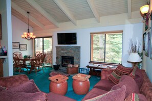 TV, fireplace, video games, DVD player