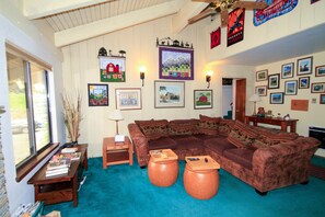 TV, fireplace, video games, DVD player