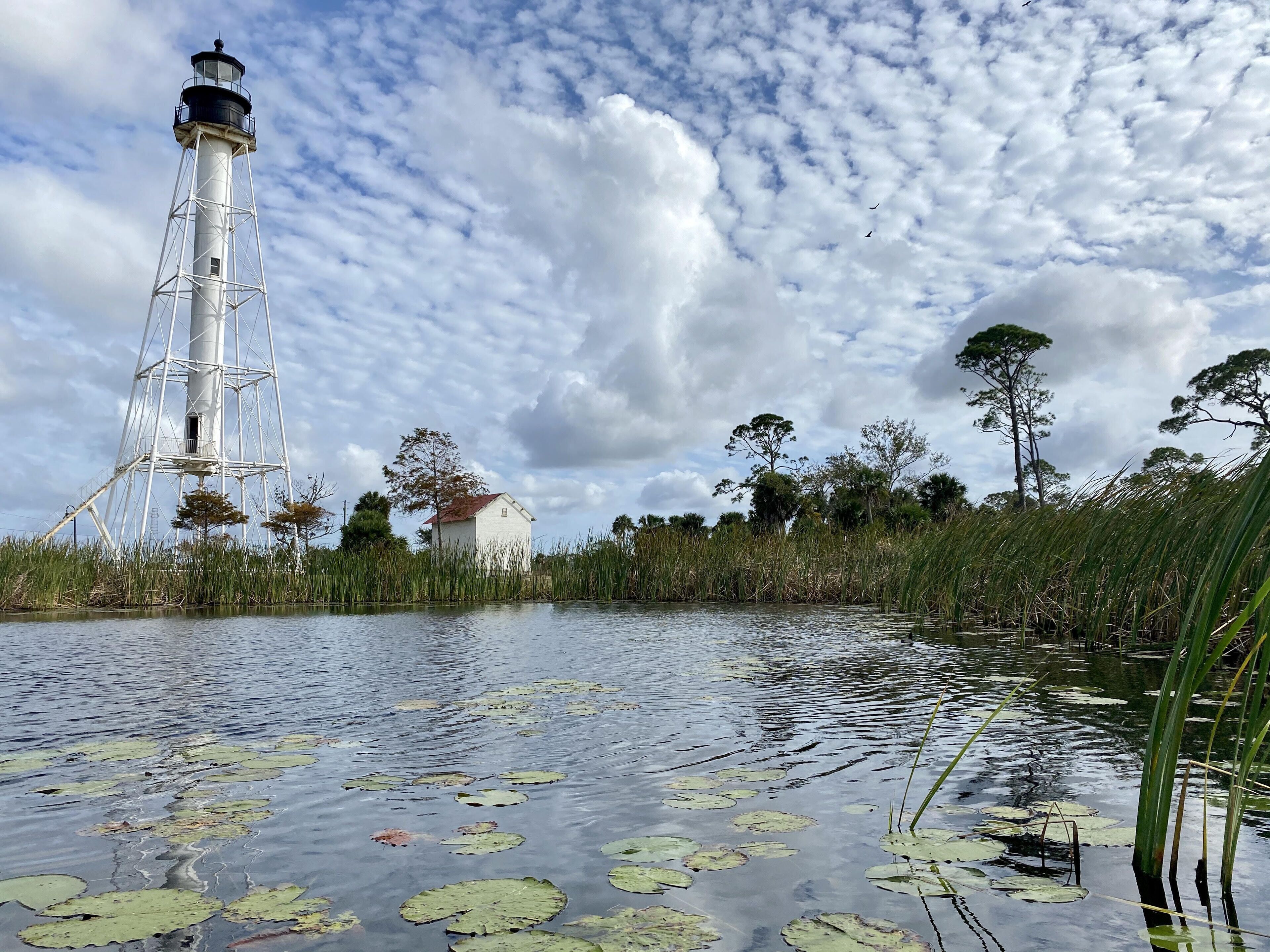 Un faro, un edificio blanco y una masa de agua con nenúfares.