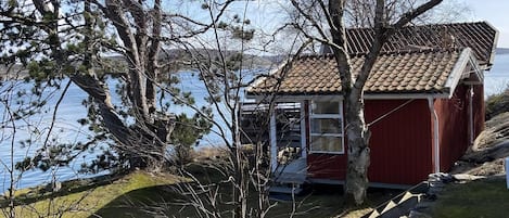 Extérieur