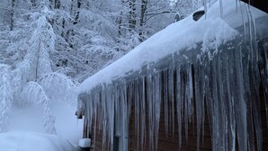 A wooden cabin with icicles hanging from the roof, surrounded by snow-covered trees. - Private mountainside chalet bordering Dolly Sods with beautiful panoramic view. (Davis)