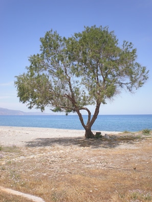 Serviettes de plage