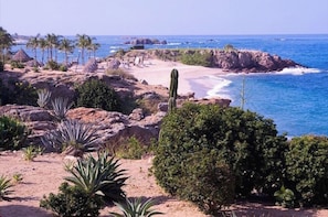 Enjoy the serene coastal landscape with cacti, shrubs, and sandy beach.