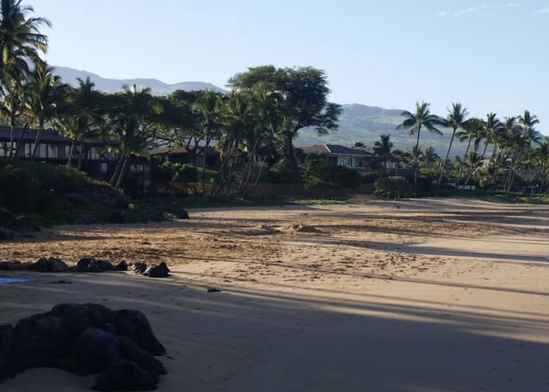 Una playa con palmeras, una zona arenosa y casas al fondo.