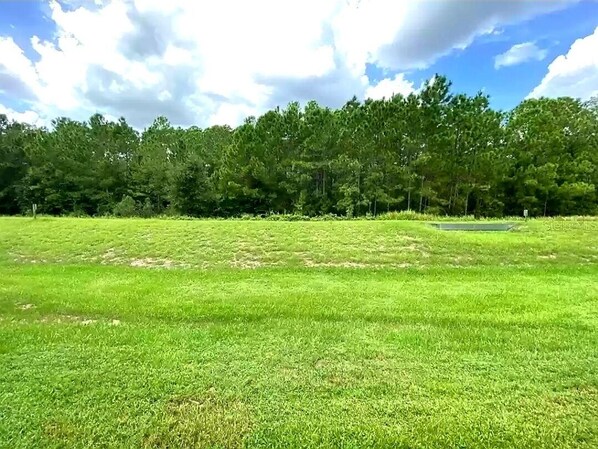 Un campo cubierto de hierba con una frondosa arboleda al fondo.