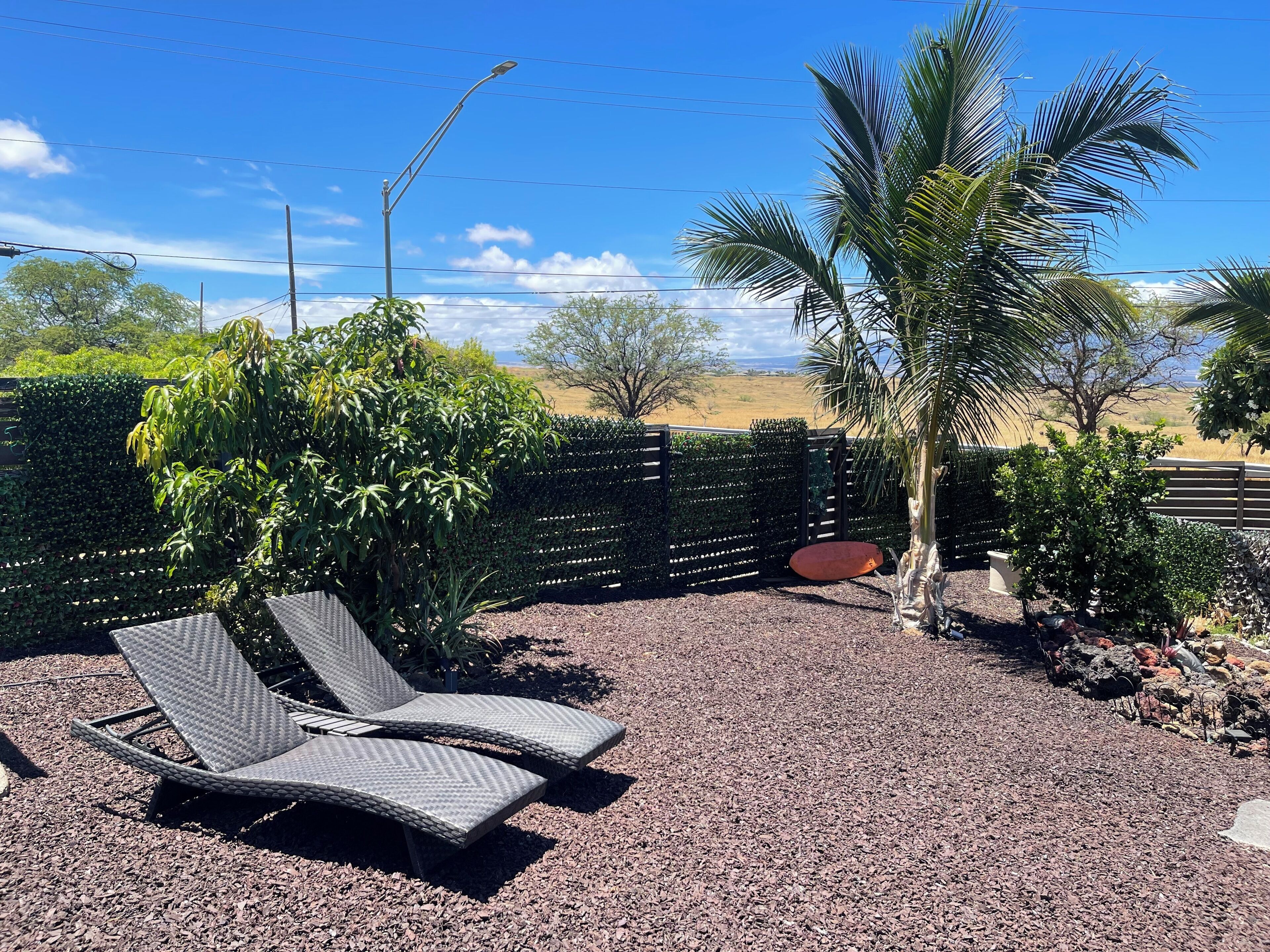 Un patio con dos sillones, una palmera y vistas del paisaje desértico.