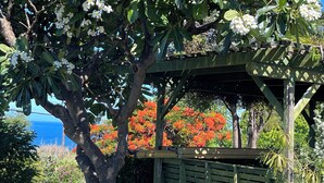 Uma árvore com flores brancas e uma estrutura de pérgola de madeira.