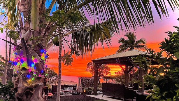Um jardim com um gazebo, palmeiras e um pôr do sol.