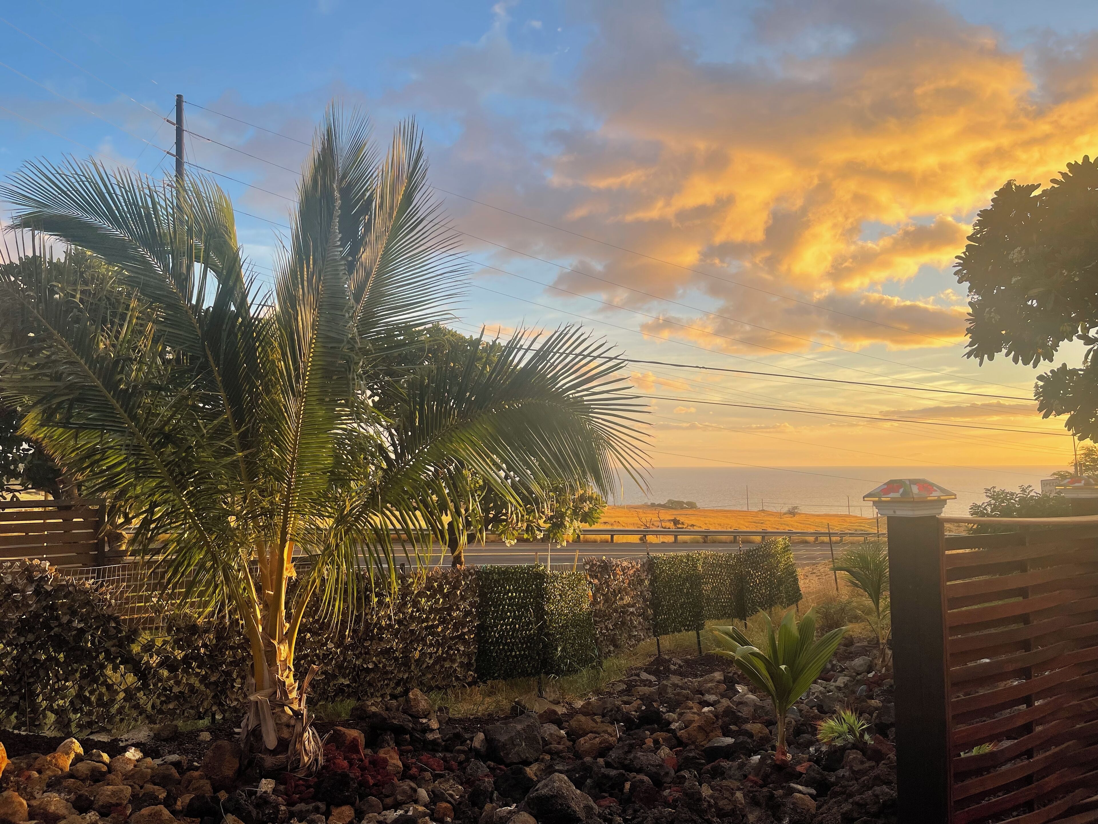 A garden with palm trees, a rock garden, and a view of the sea at sunset.