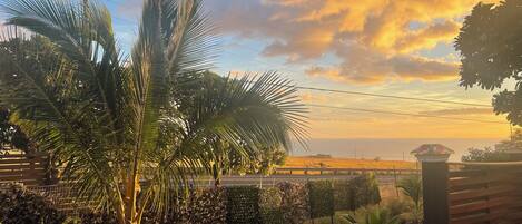 A garden with palm trees, a rock garden, and a view of the sea at sunset.