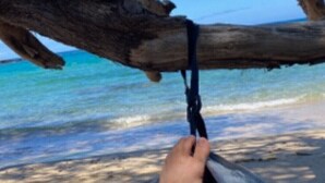 Uma rede amarrada entre dois galhos grandes de árvore sobre uma praia.