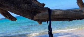 Oceanview House near Best Beaches on Big Island, Massage Chair!