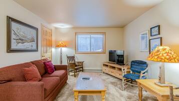 Télévision, cheminée, lecteur de DVD