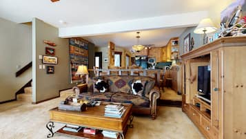 电视、壁炉、DVD 播放器、影片库