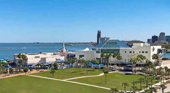 A modern building with a glass dome, surrounded by palm trees and a clear blue sky.