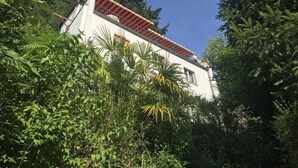 A white building with a red roof and a balcony, surrounded by dense green foliage.