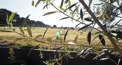 Farm Cottage on the Bellarine Peninsula