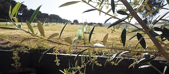 Farm Cottage on the Bellarine Peninsula