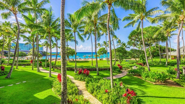 Un resort tropical con palmeras, un camino y vista al océano.