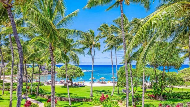 A tropical resort with palm trees, a beach, and a well-maintained garden. - Turtle Bay Villas 308 by Gather: Beachfront w/ Shared Pool/Spa/AC (Kahuku)
