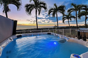 A hot tub with a view of the ocean and palm trees.